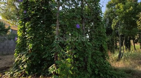Venta de parcela en llers, immagine 5