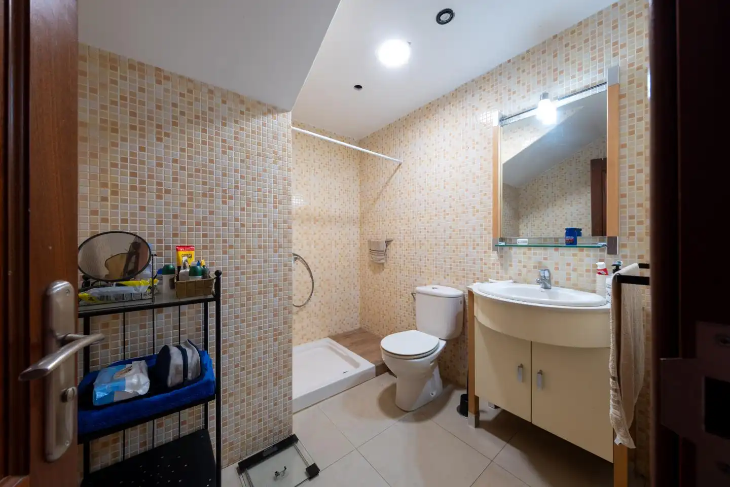 Baño de Casa o chalet en venta en Ingenio