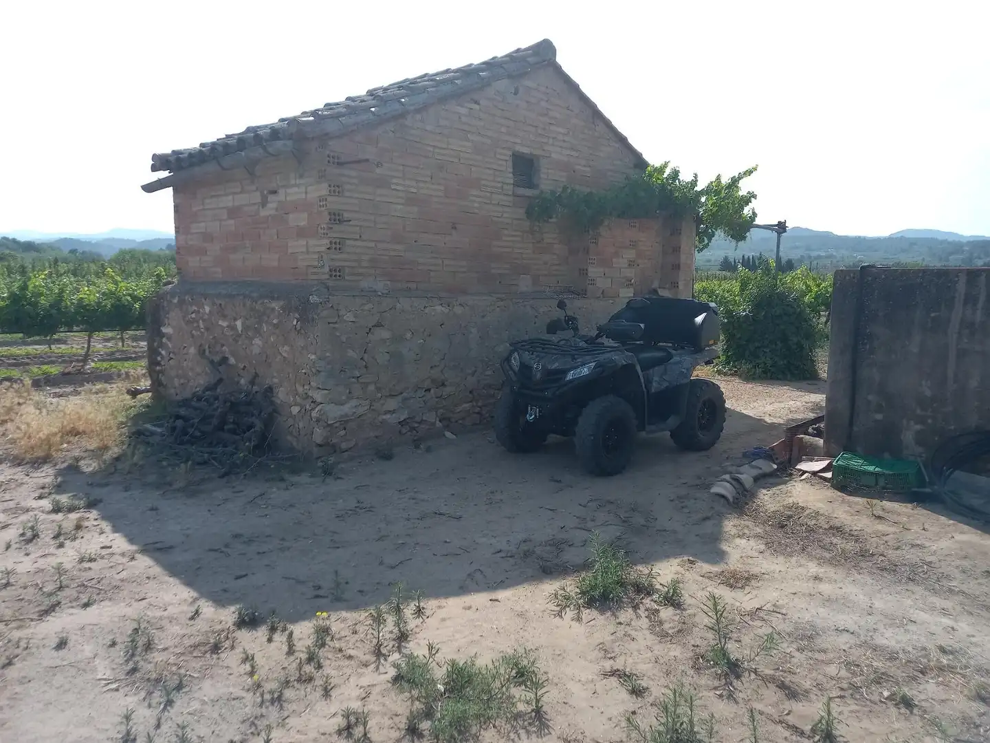 Lands and plots for sale in Ginestar