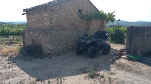 FINCA RUSTICA EN GINESTAR A ORILLAS DEL RIO EBRO