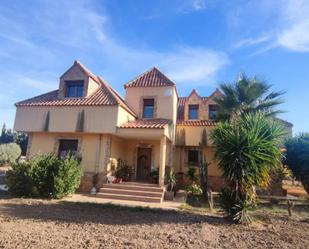 Vista exterior de Finca rústica en venda en Aspe amb Traster