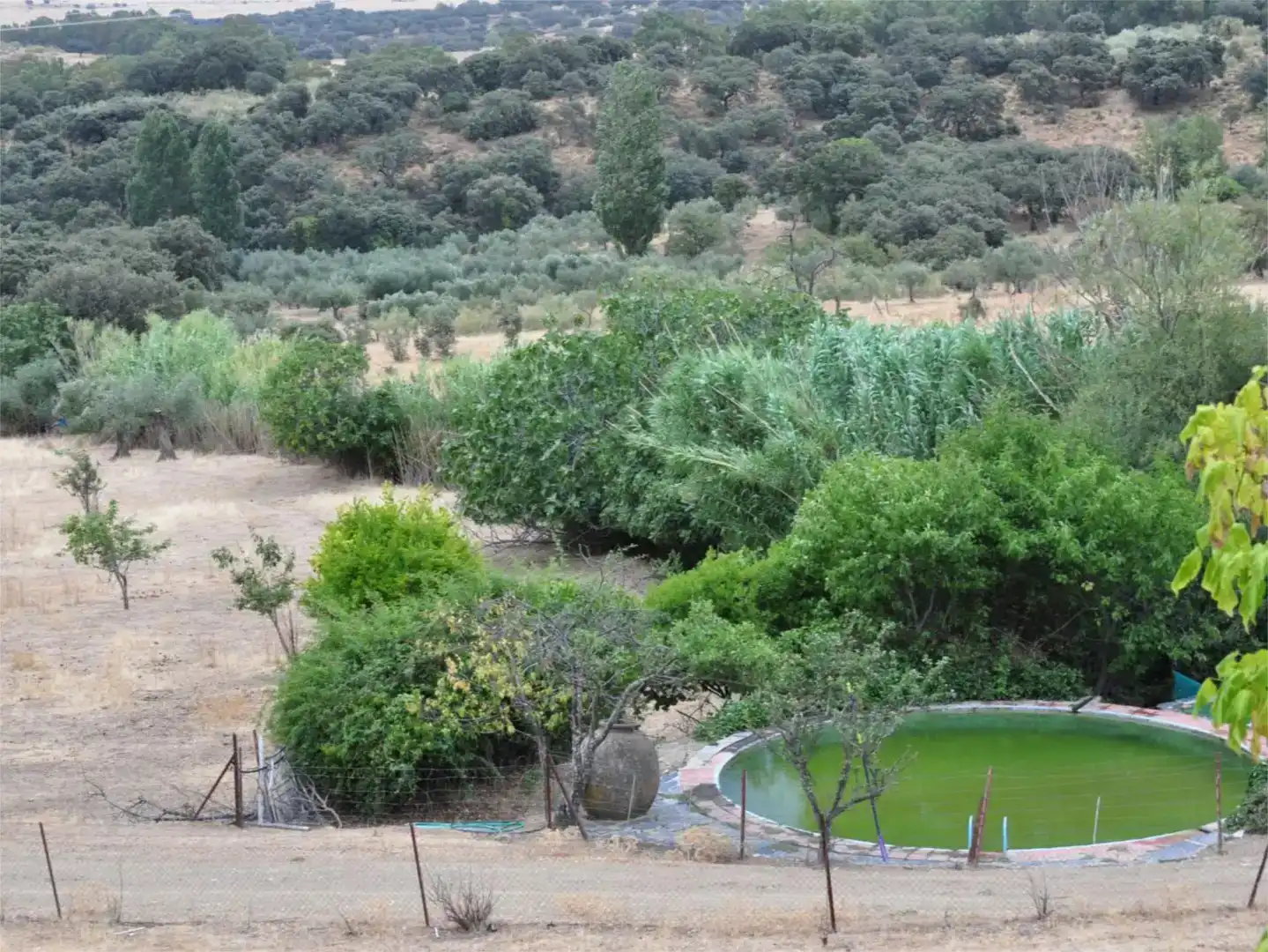 Jardí de Finca rústica en venda en Fuente del Arco
