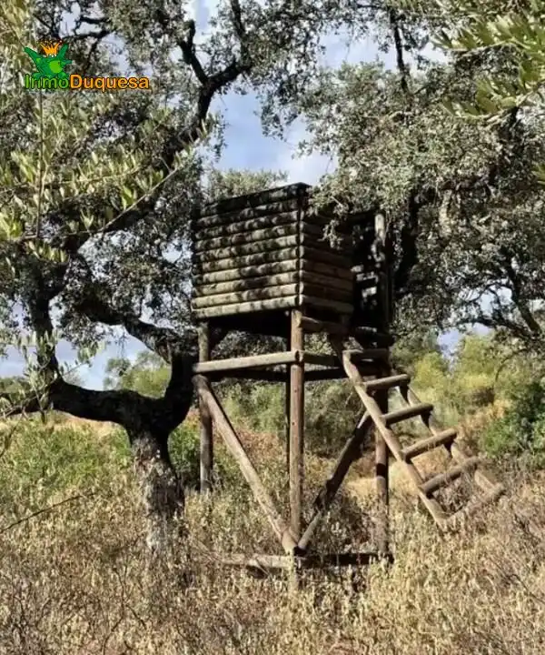 Casa rustica in vendita a Carretera SIERRA 1, imagen 15
