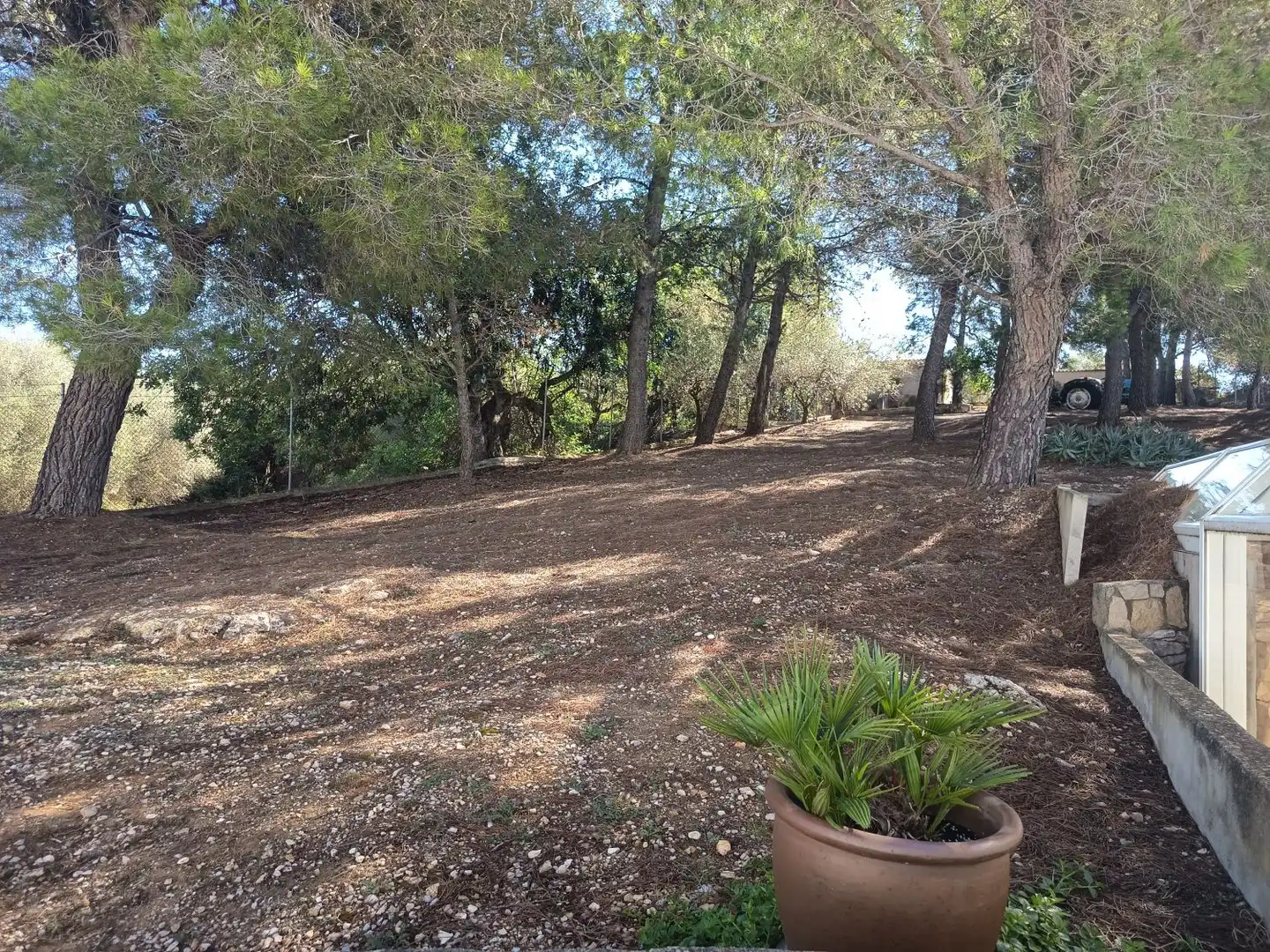 Villa avec terrasse à vendre à EL PUIG, imagen 101