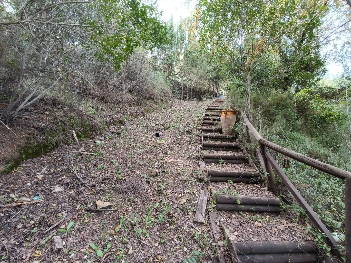 Terreni e lotti in vendita a Benaocaz, imagen 6