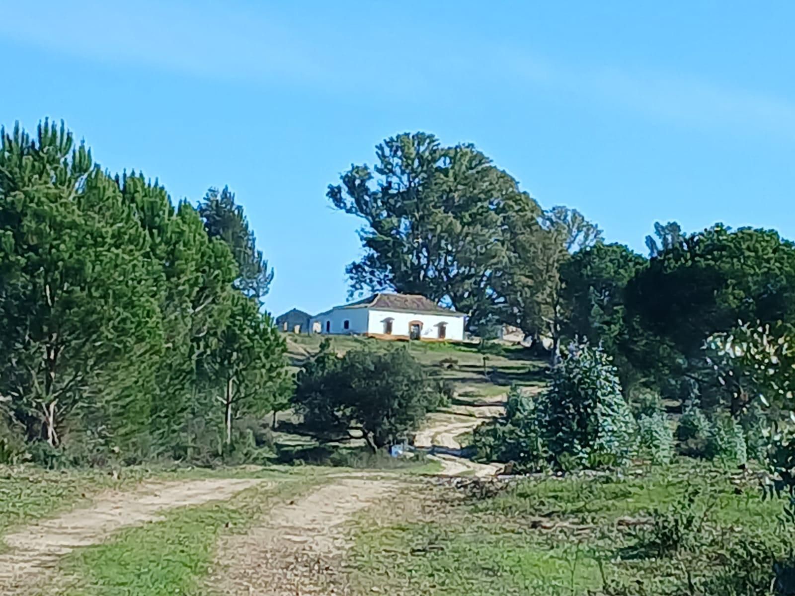 Vista exterior de Finca rústica en venda en Moguer amb Jardí privat