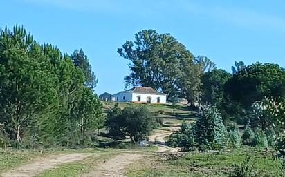 Exterior view of Country house for sale in Moguer  with Private garden