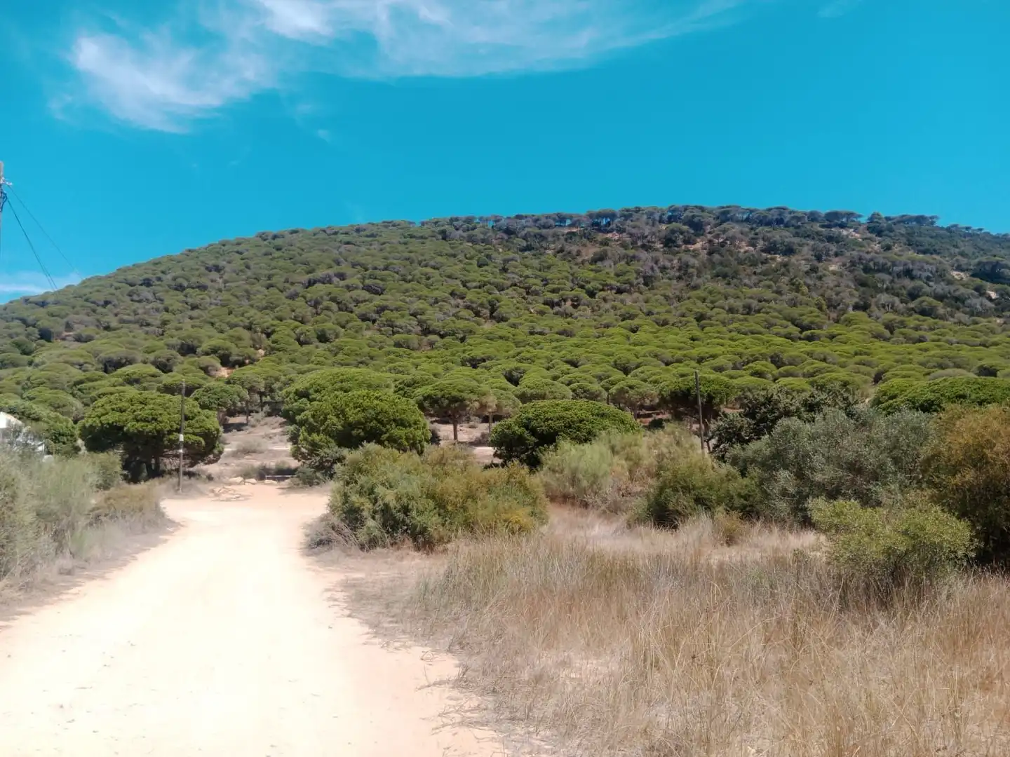 Rustikales Grundstück zum Verkauf in Las Lagunas - Campano, imagen 12
