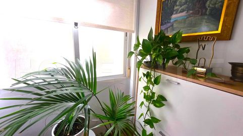 Foto 4 de Pis en venda a Parque Ayala - Jardín de la Abadía - Huelín, Málaga Capital