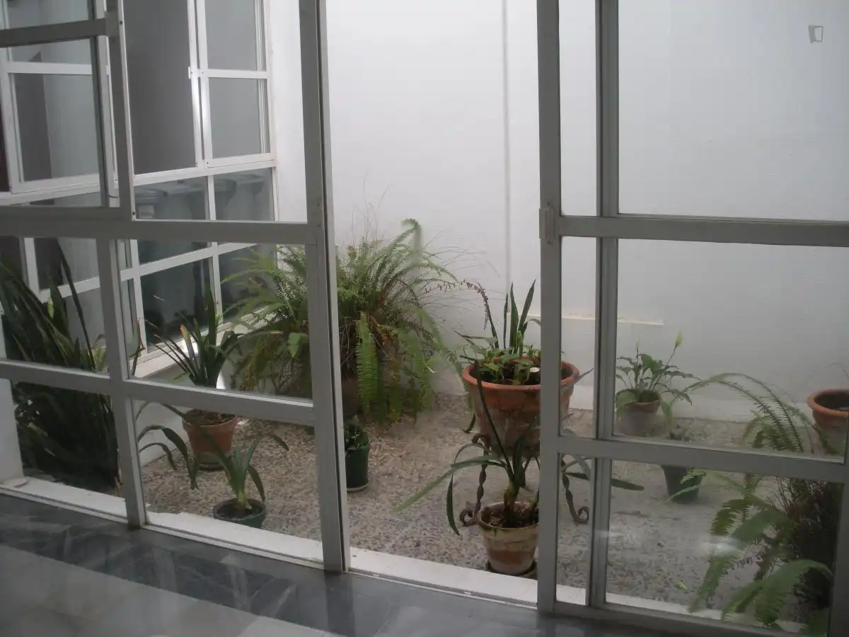 Habitación en La Caleta - La Viña
