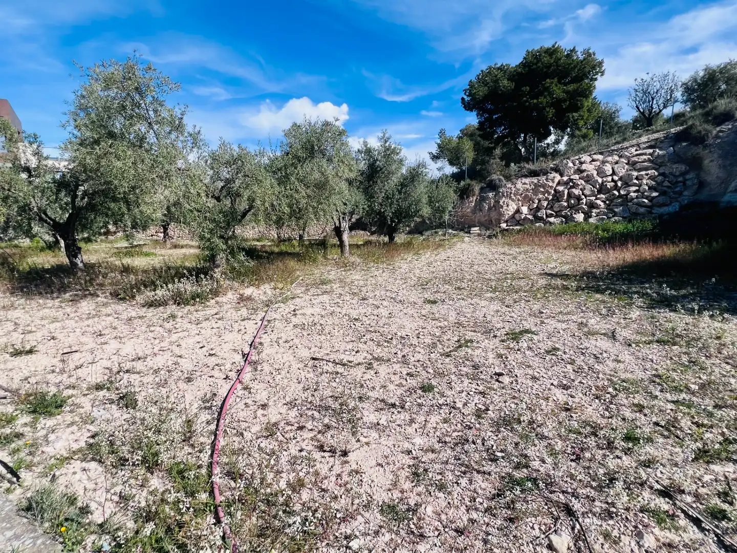 Casa o xalet en venda en Petrer amb Aire condicionat, Jardí privat i Terrassa