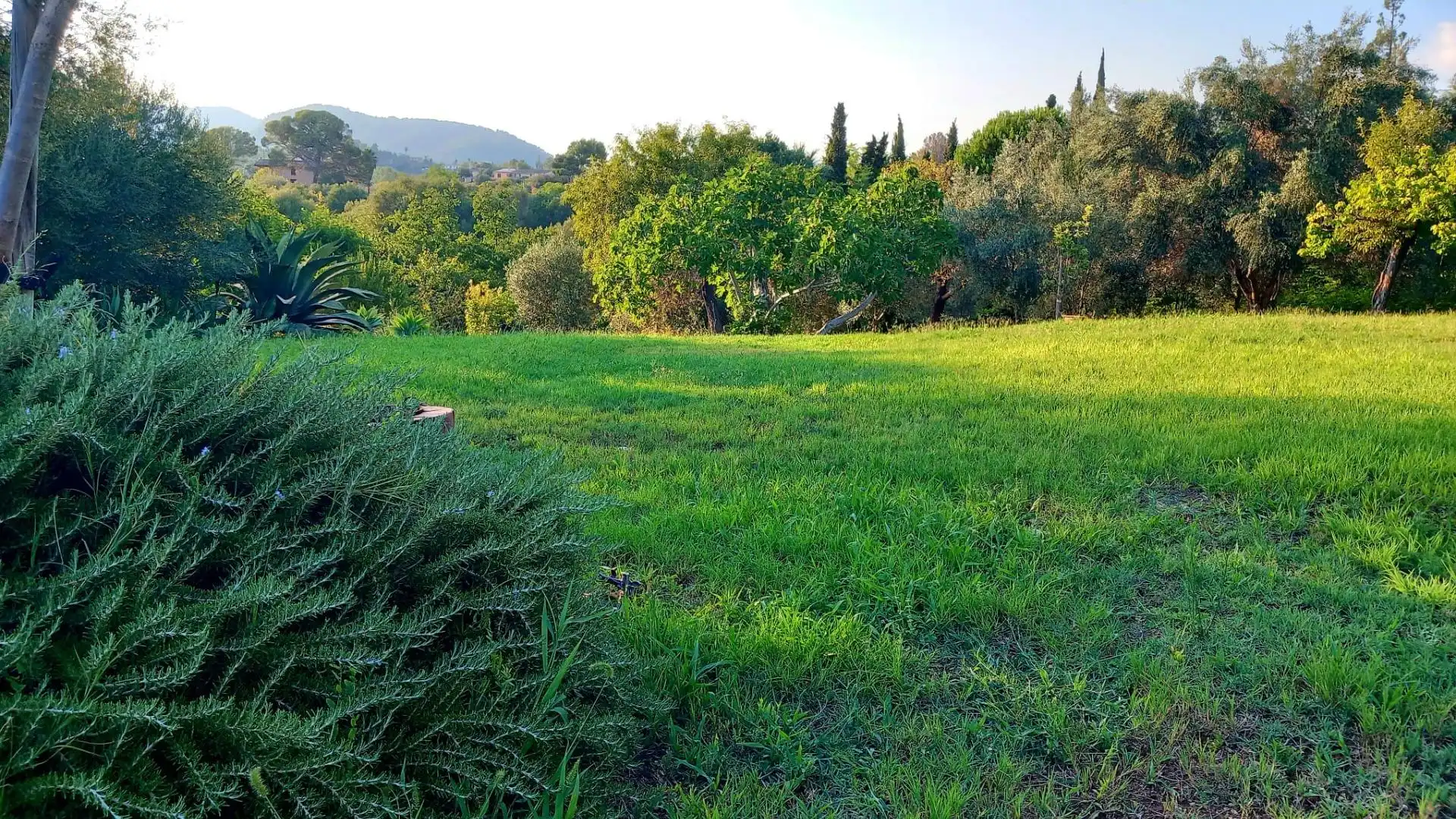 Casa rústica amb piscina en venda a Nord, imagen 24