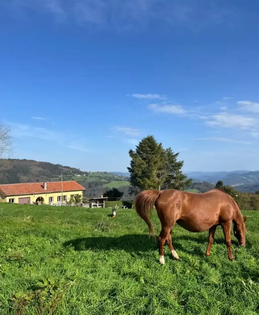 Vista exterior de Finca rústica en venda en Salas