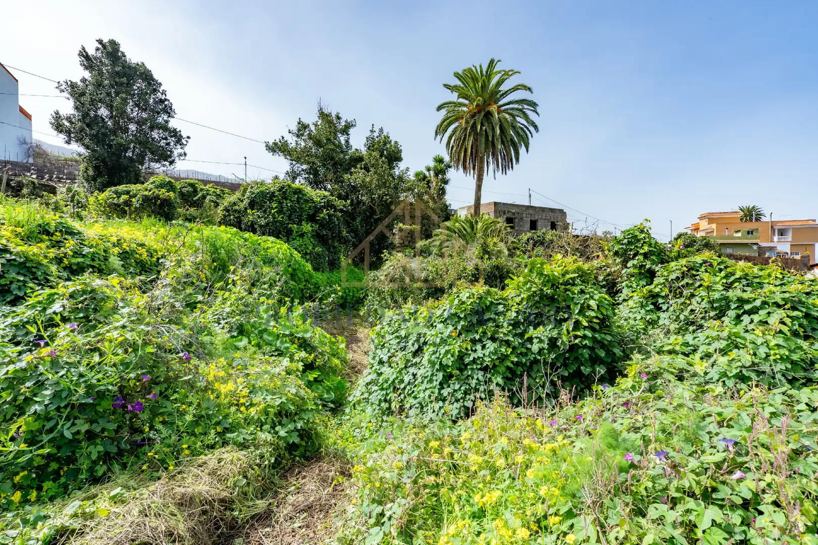 Finca rústica en venda en La Victoria de Acentejo