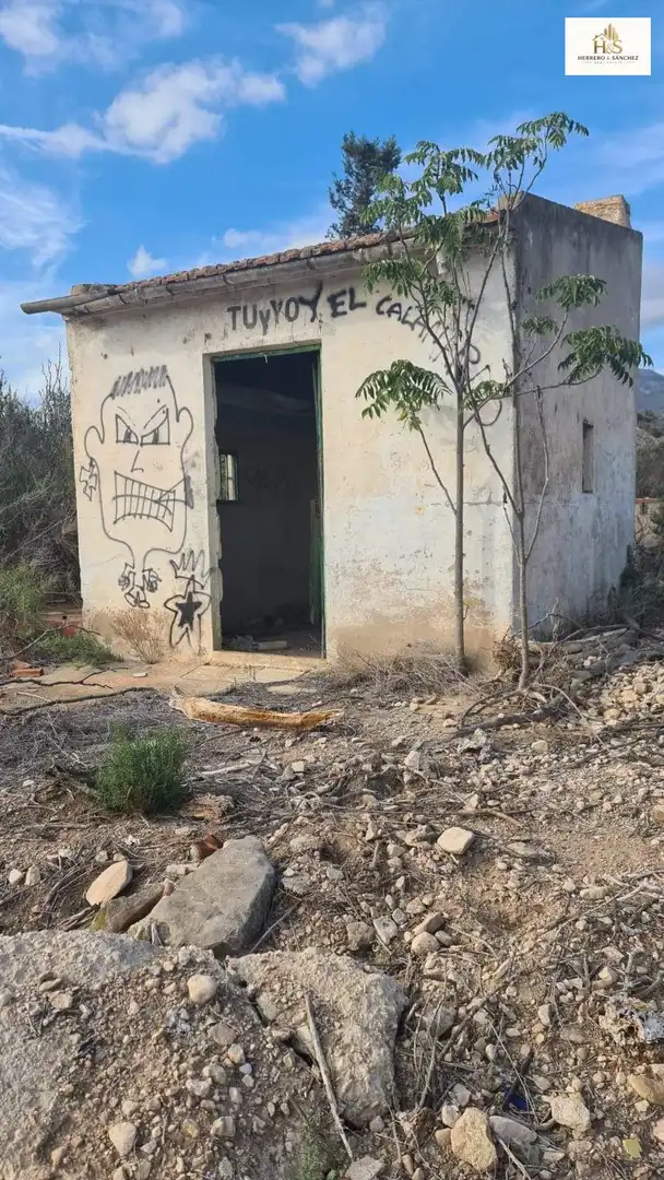 Rural land for sale in Monforte del Cid, imagen 3