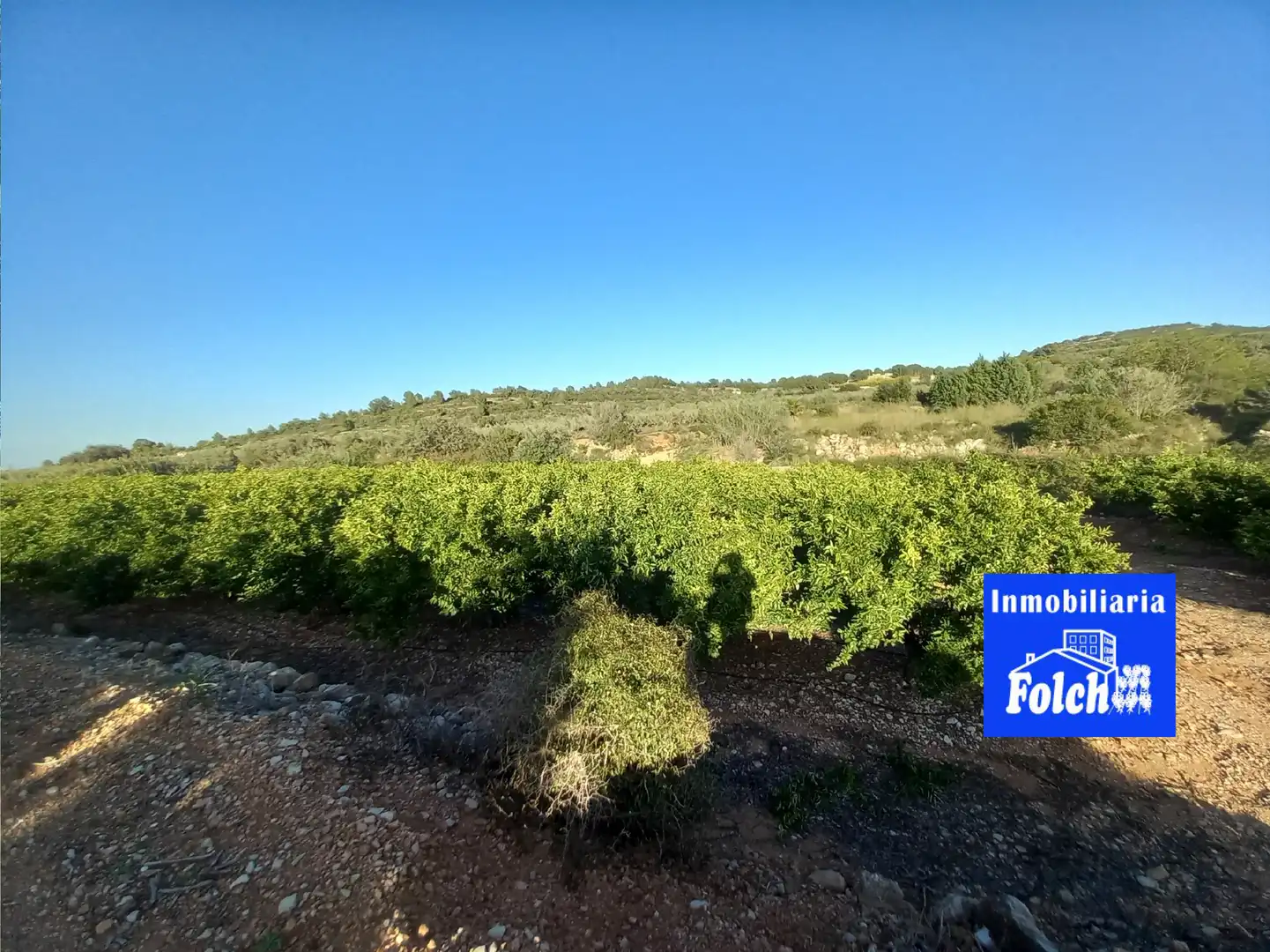 Terreny rústic en venda a Càlig