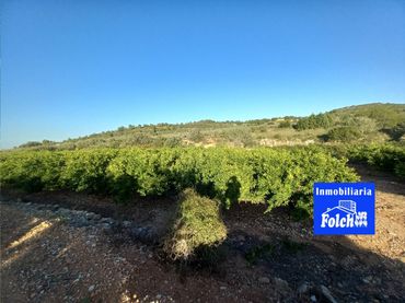 Terreno rustico in vendita a Càlig