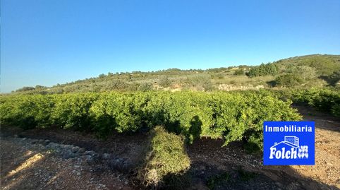 Finca Rústica de Regadío