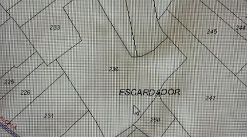 FINCA DE OLIVOS MARTEÑOS DE REGADIO CERCA DE HUERTA ANGUITA POL.16 PARCELA 236, immagine 3
