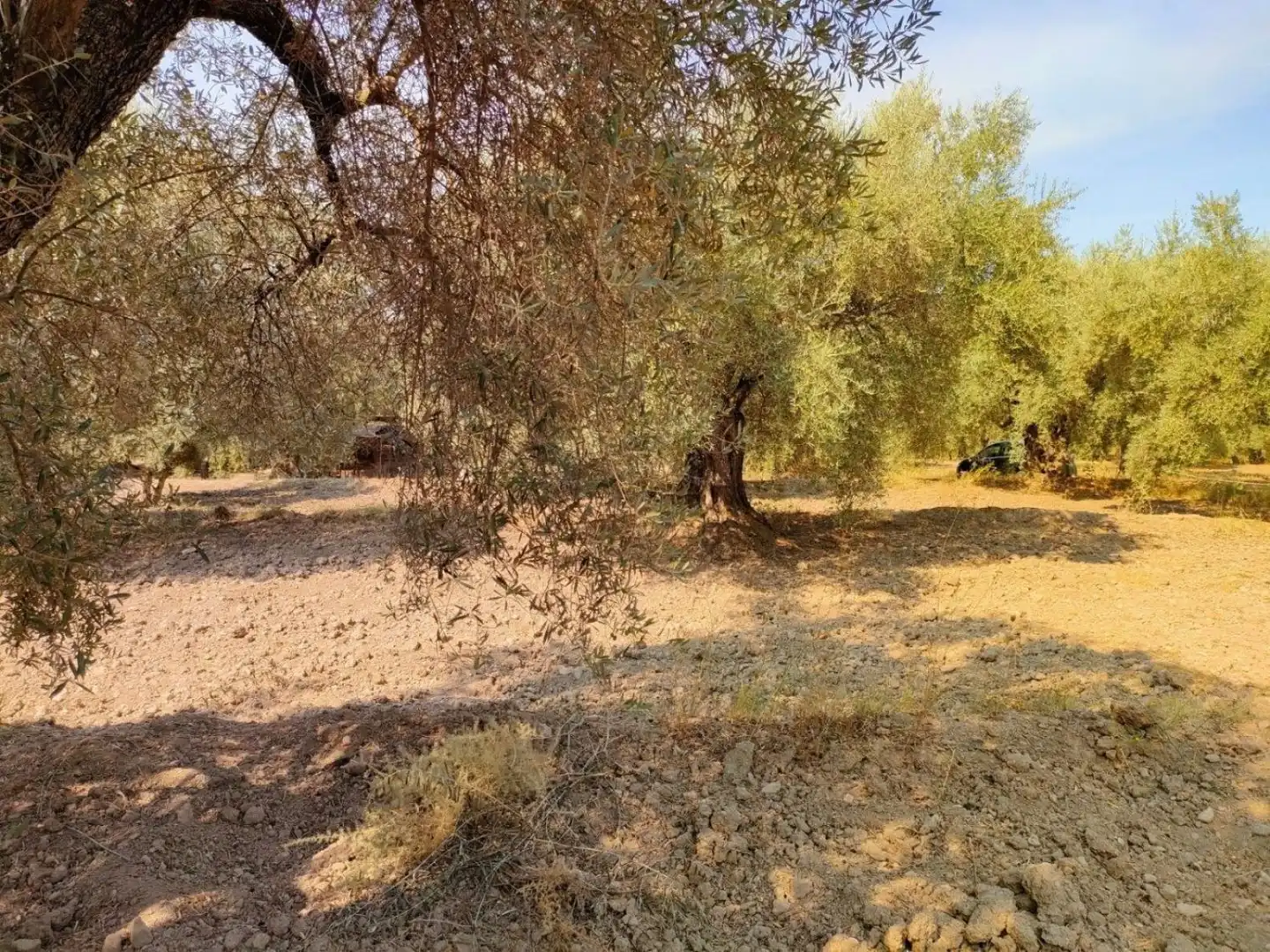 Grundstücke und Bauplätze zum Verkauf in Ugíjar, imagen 7