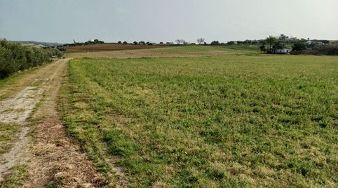 PRECIOSAS FINCAS DE REGADIO, imagen 4