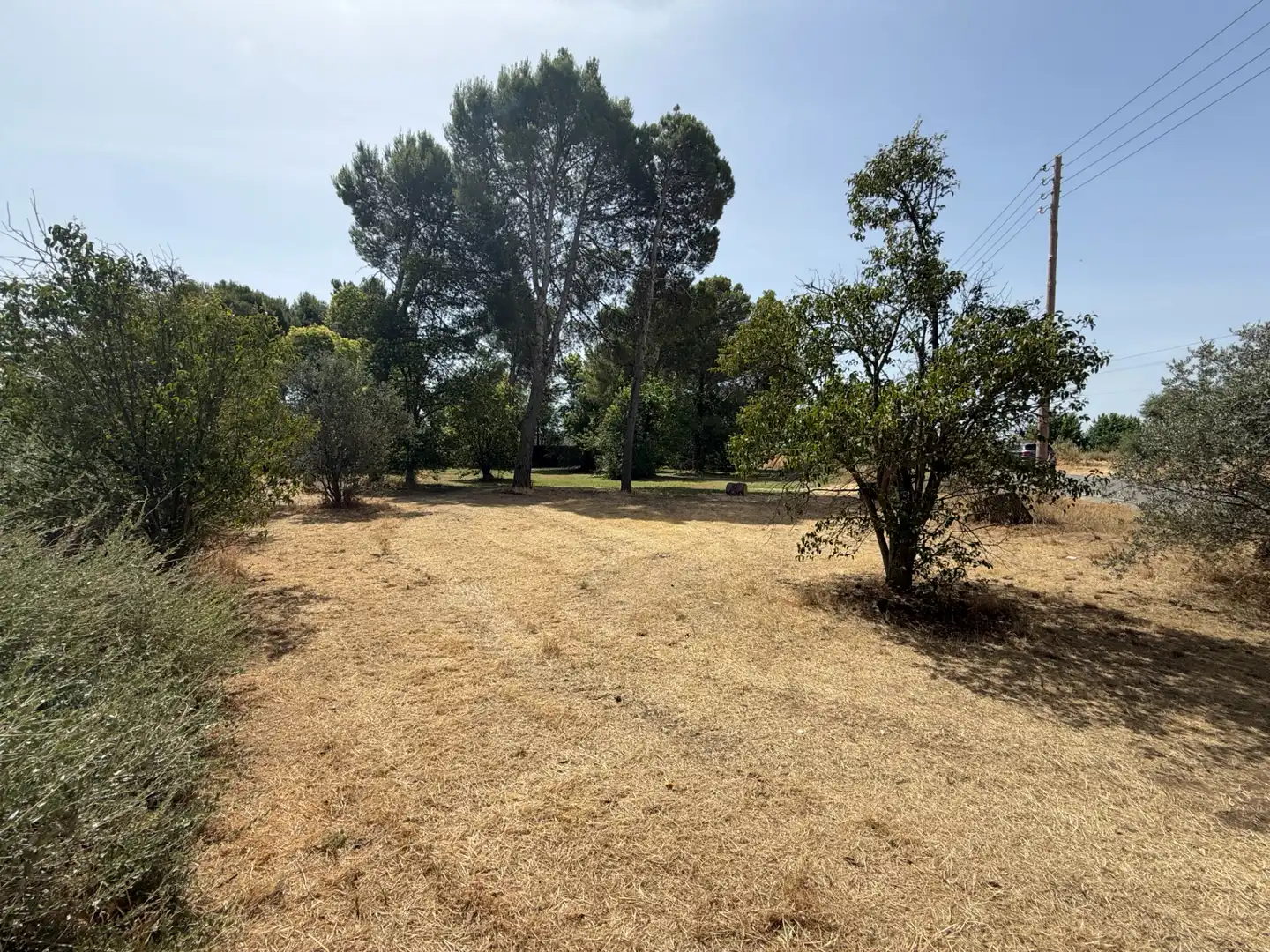 Residencial en venda a Camí de Lleida, 14, Els Alamús