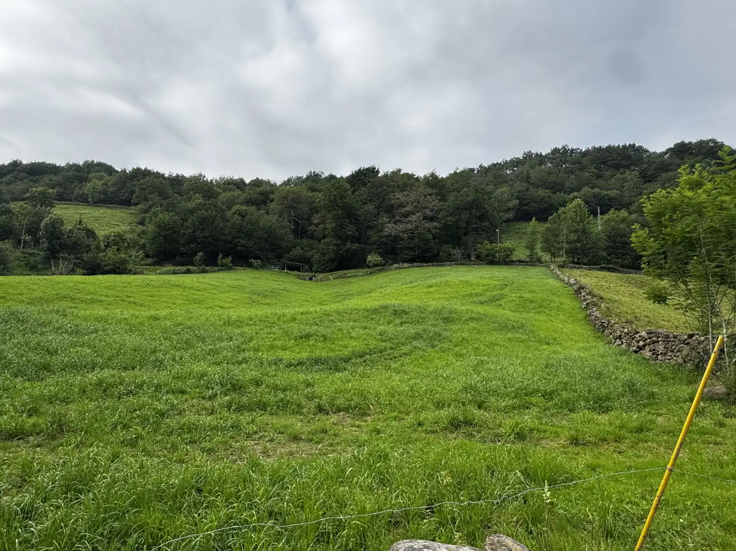 Casa o chalet en venta en Selaya