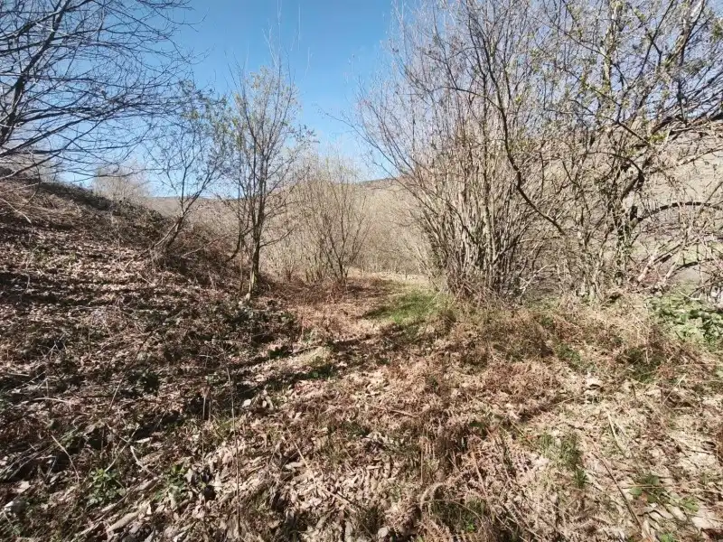Terreni e lotti in vendita a Rionansa, imagen 20