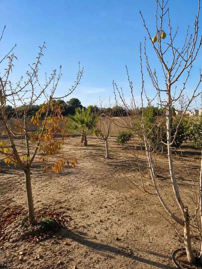 Casa o xalet en venda en Alcantarilla, Murcia