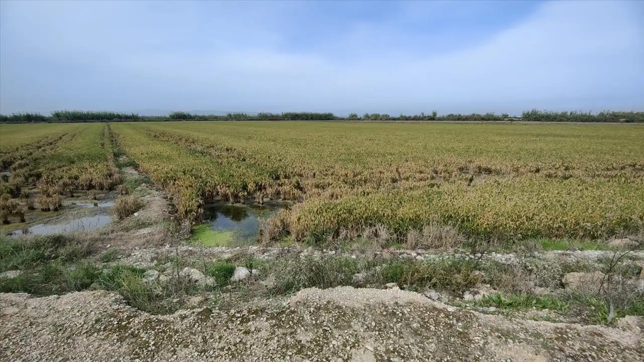 Rural land for sale in Polígono 8, 969, imagen 2