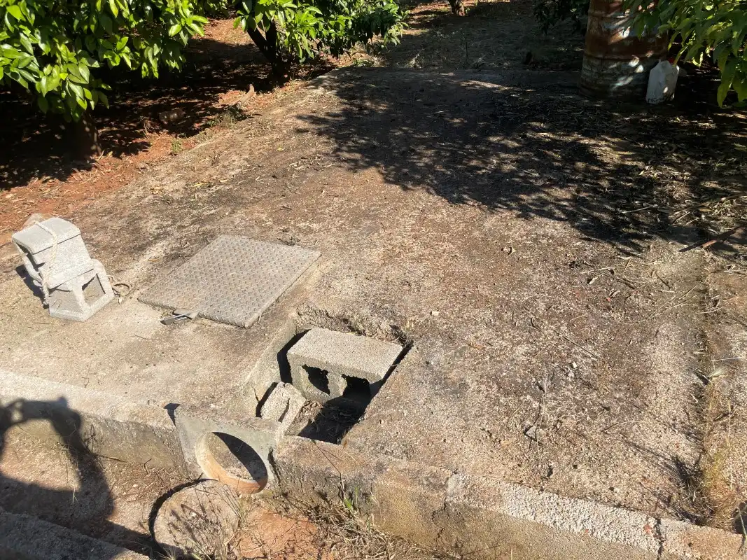 Terrain rustique à vendre à Partida Bases 254, imagen 16