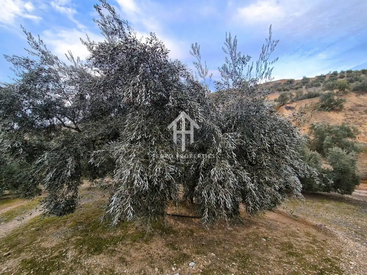 Terreni e lotti in vendita a Huétor Tájar, imagen 19