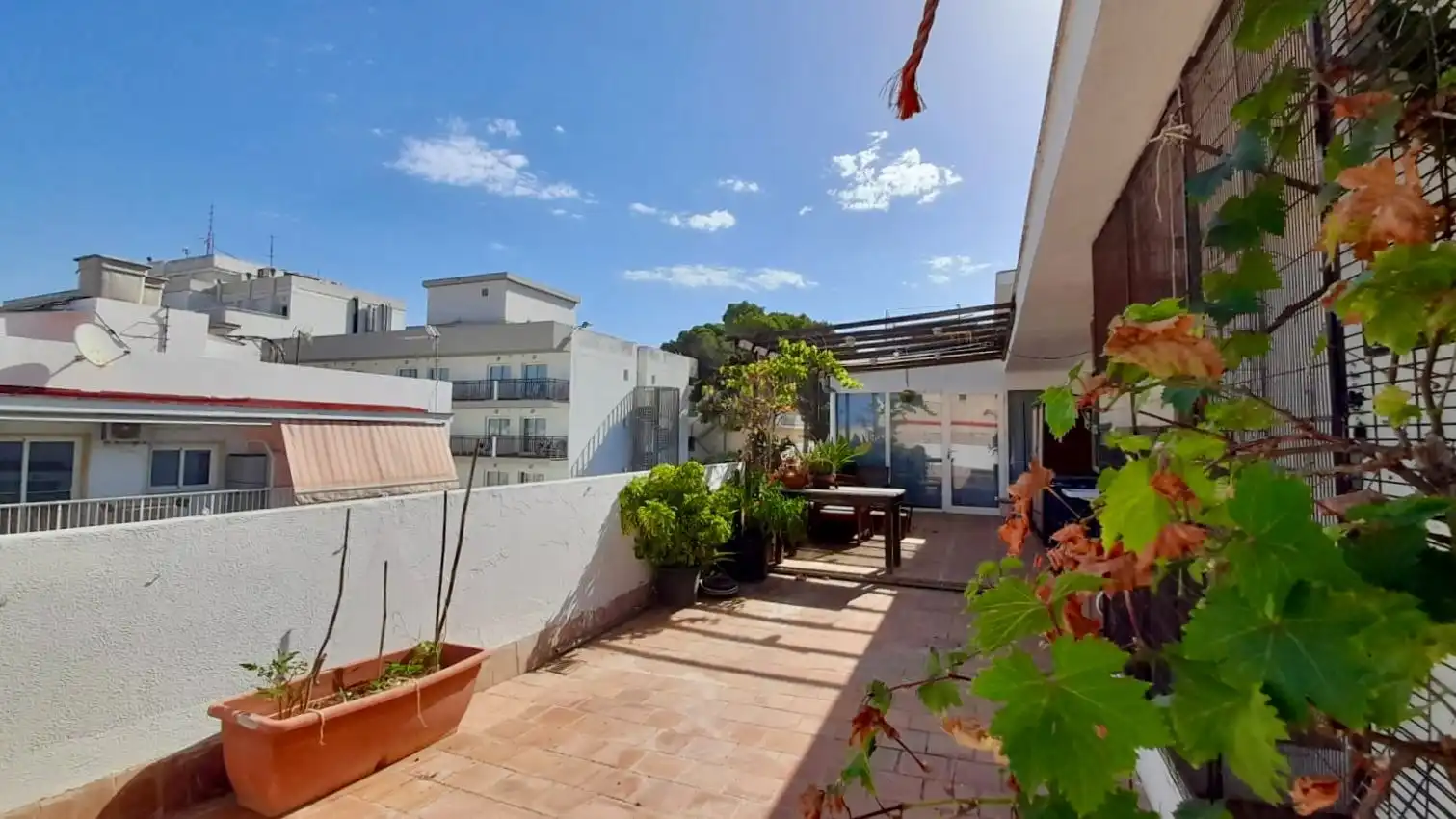 Appartement à vendre à Platja de Palma
