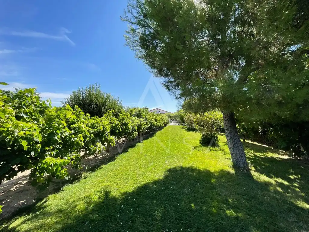 House for sale in Fuente El Saz de Jarama, imagen 3