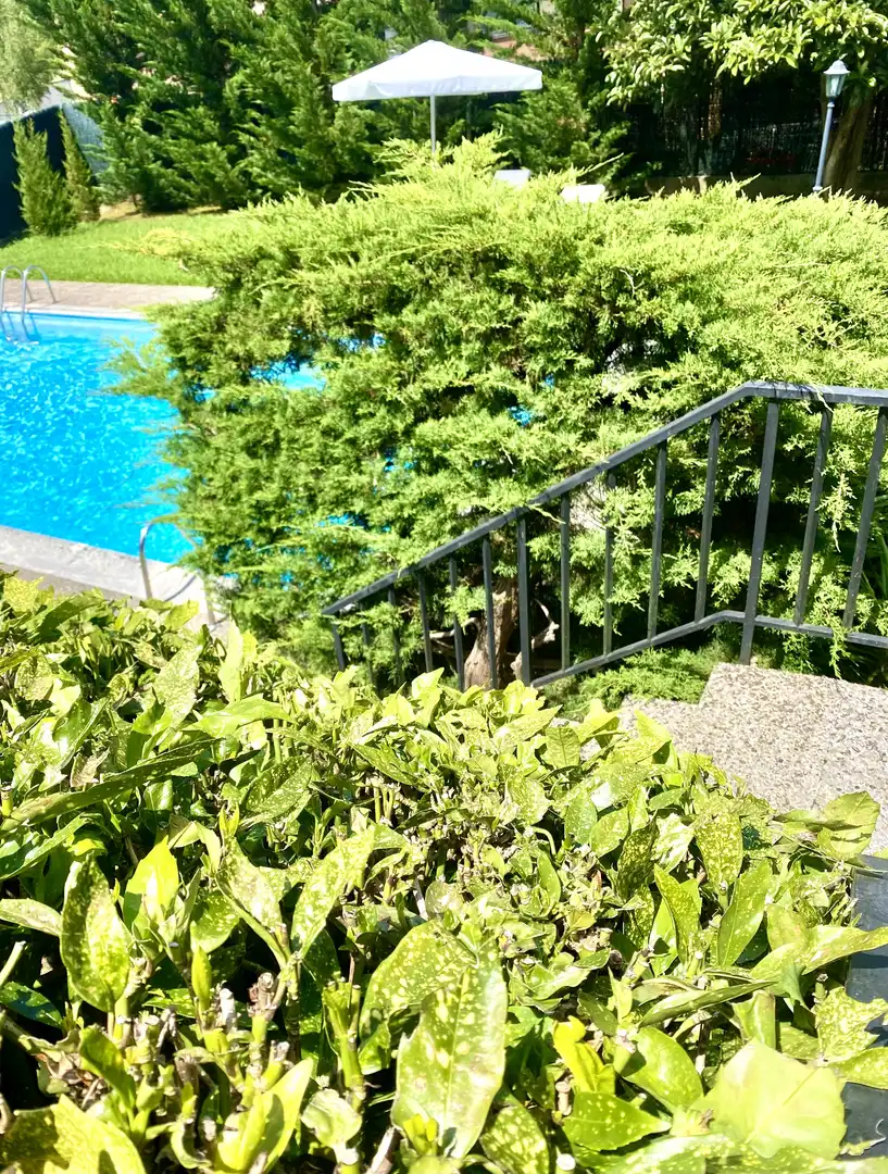 Detached house with terrace for sale in Sagarminaga Kalea 8, imagen 7