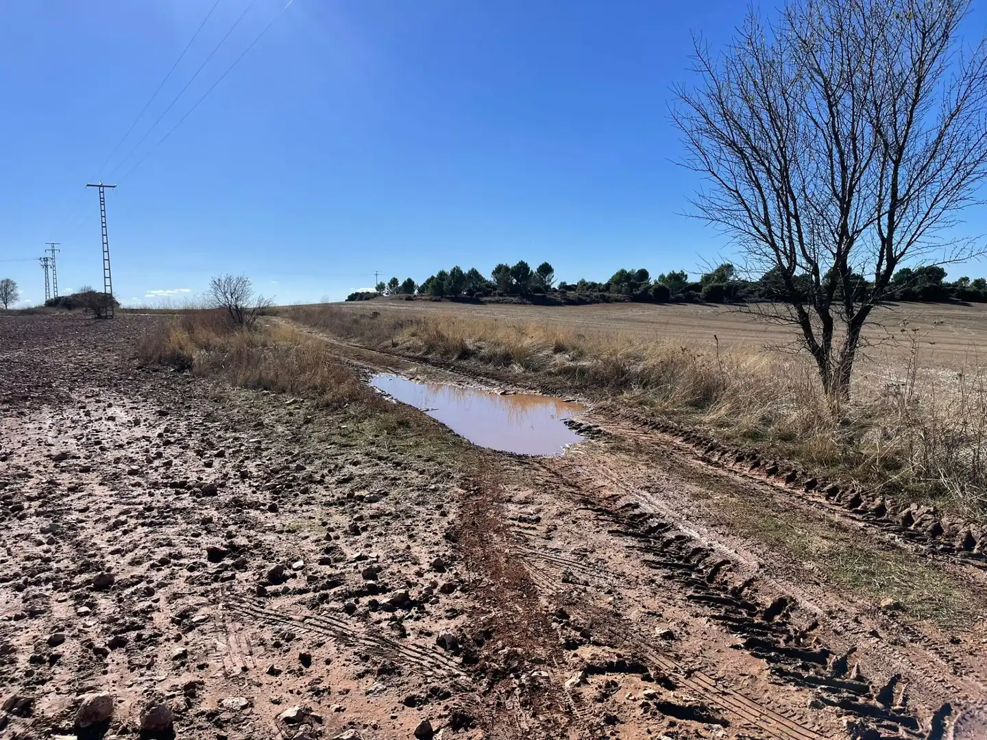 Terreno en venta en Pozuelo del Rey, Madrid