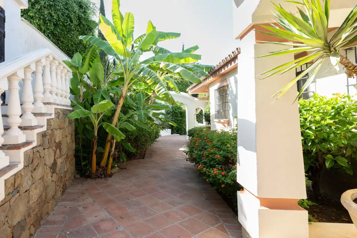 Jardín de Casa o chalet en venta en Marbella con Piscina