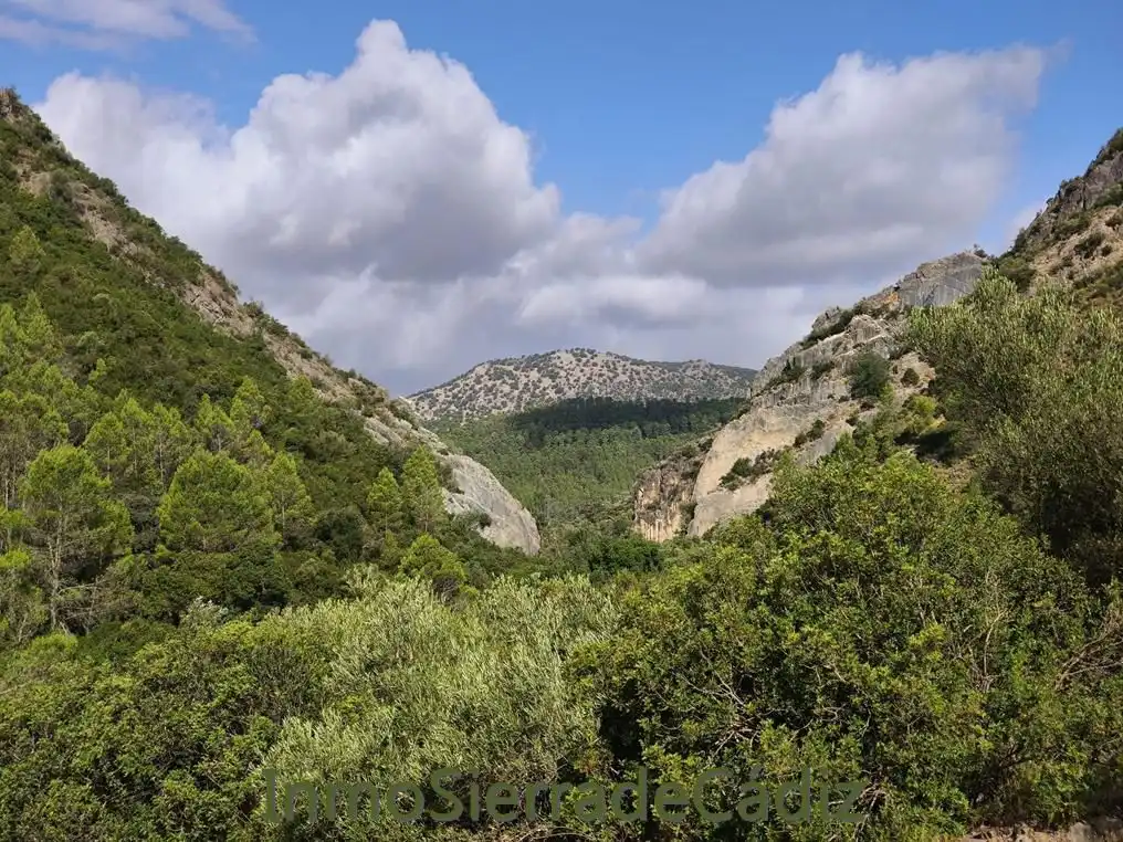 Vista exterior de Finca rústica en venda en Algodonales