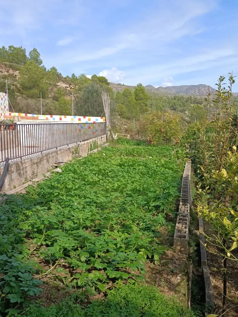 Garden of Houses for sale in Castellnovo  with Terrace, Swimming Pool and Furnished