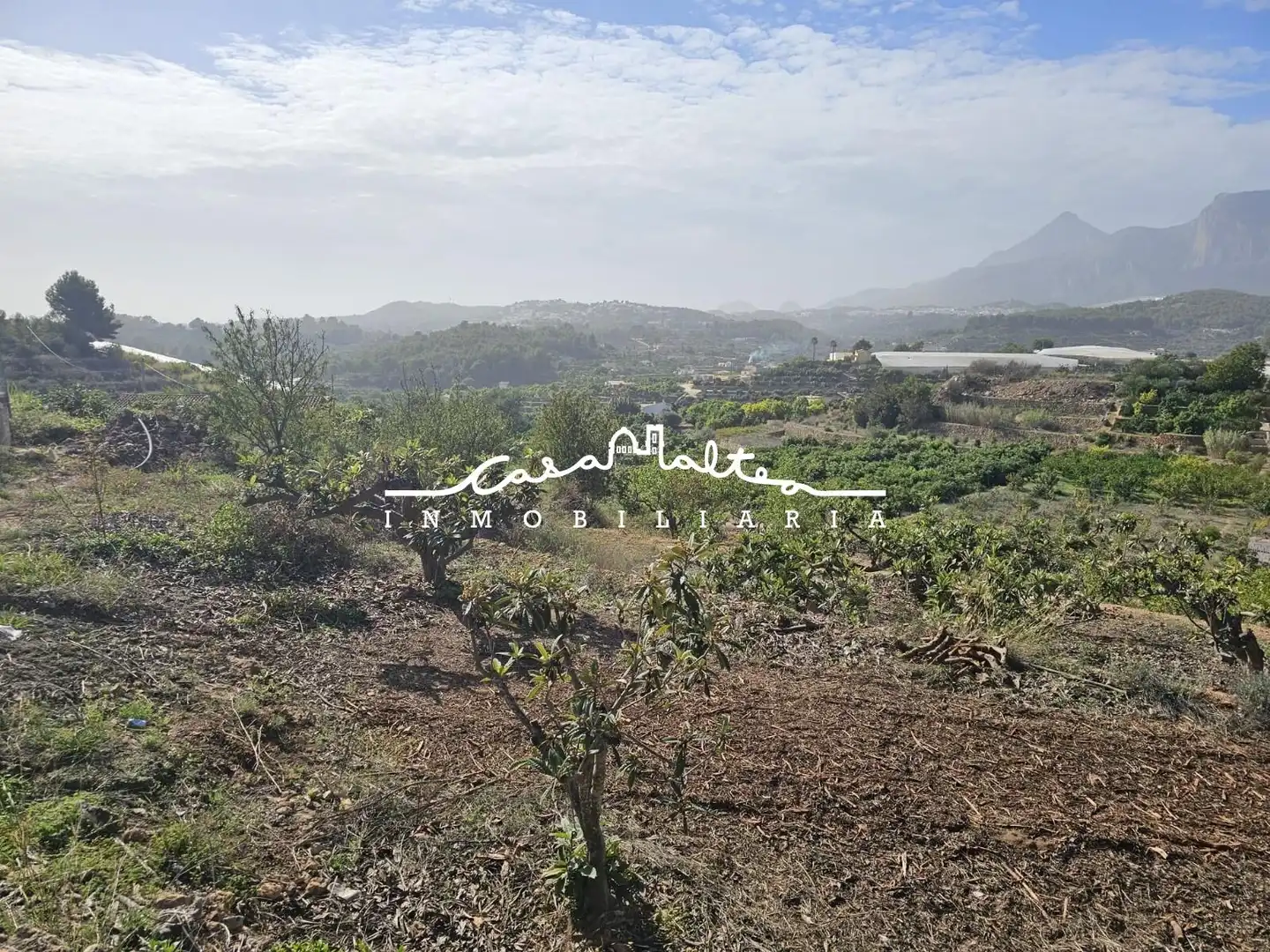 Casa rústica con jardín en venta en Callosa d'en Sarrià, imagen 18