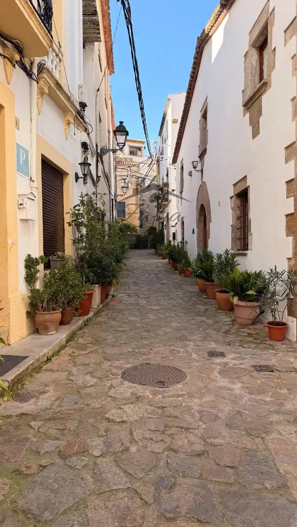 Vista exterior de Finca rústica en venda en Tossa de Mar amb Calefacció i Terrassa