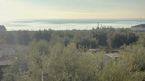 Photo 2 of Single-family semi-detached for sale in Alcanar, Tarragona