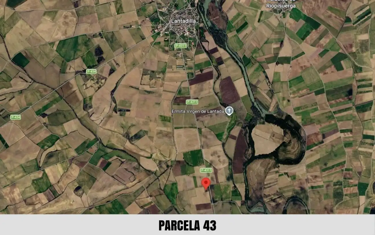 Terreno en venta en Palacios de Riopisuerga