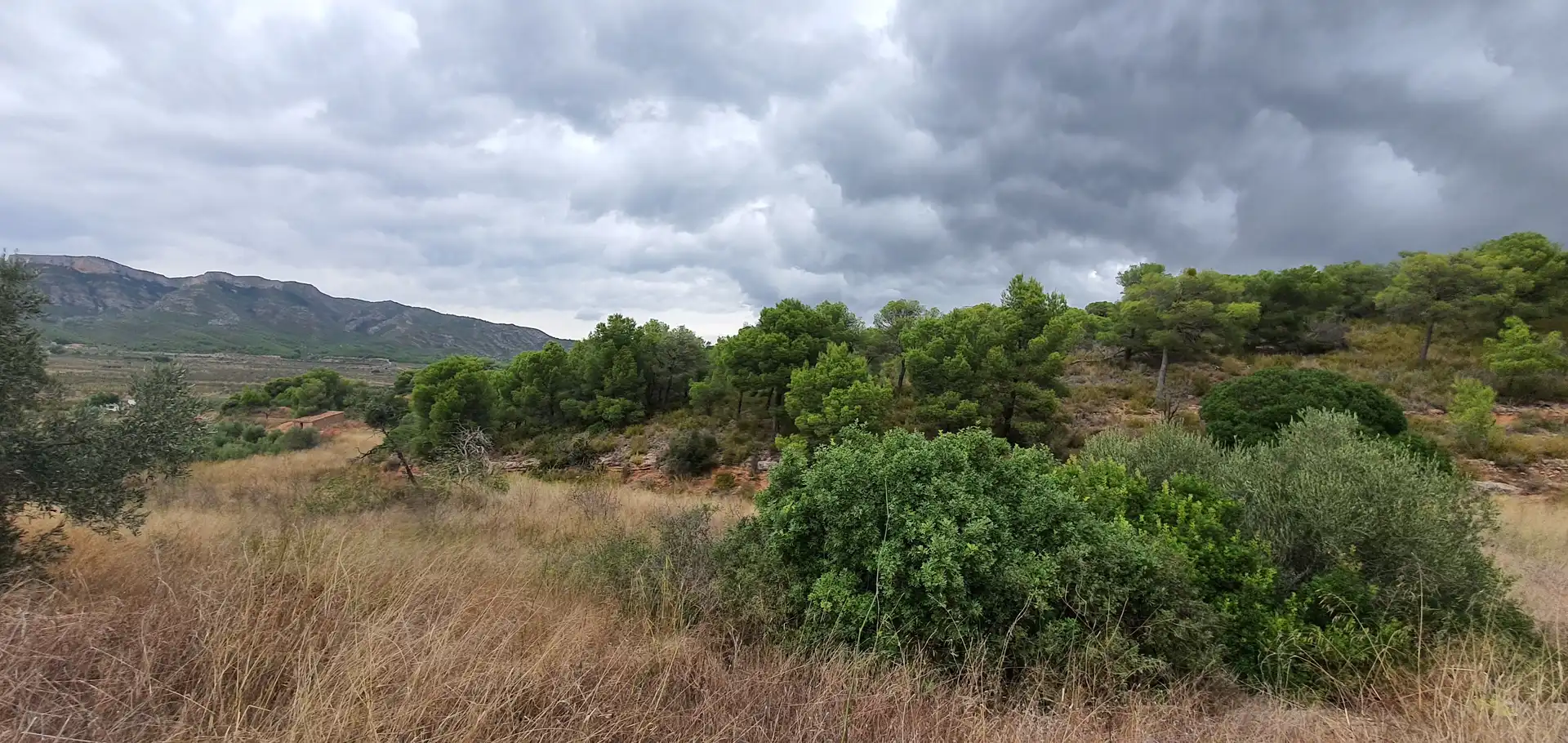 Rustikales Grundstück zum Verkauf in El Pinell de Brai, imagen 8