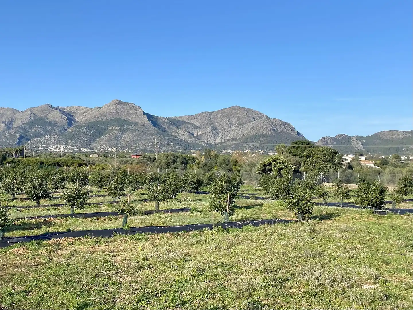 Maison à vendre à Benidoleig, imagen 3