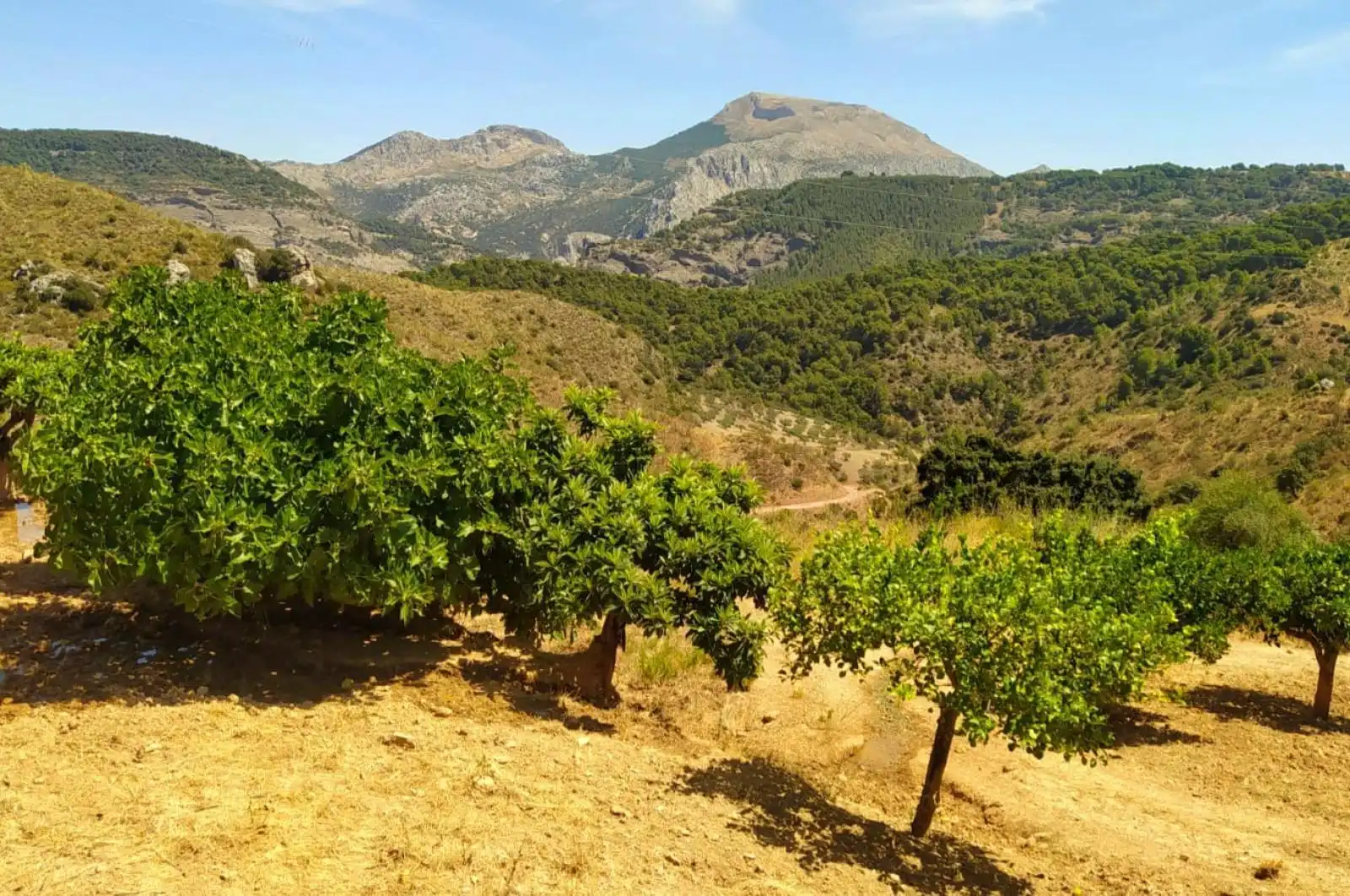 Terreni e lotti in vendita a huerto franco, imagen 51