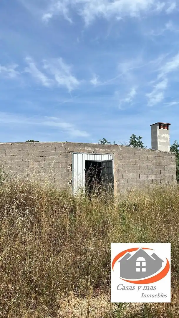 Exterior view of Land for sale in Nules