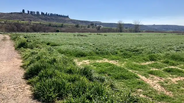 Terreni e lotti in vendita a Zaidín, imagen 2