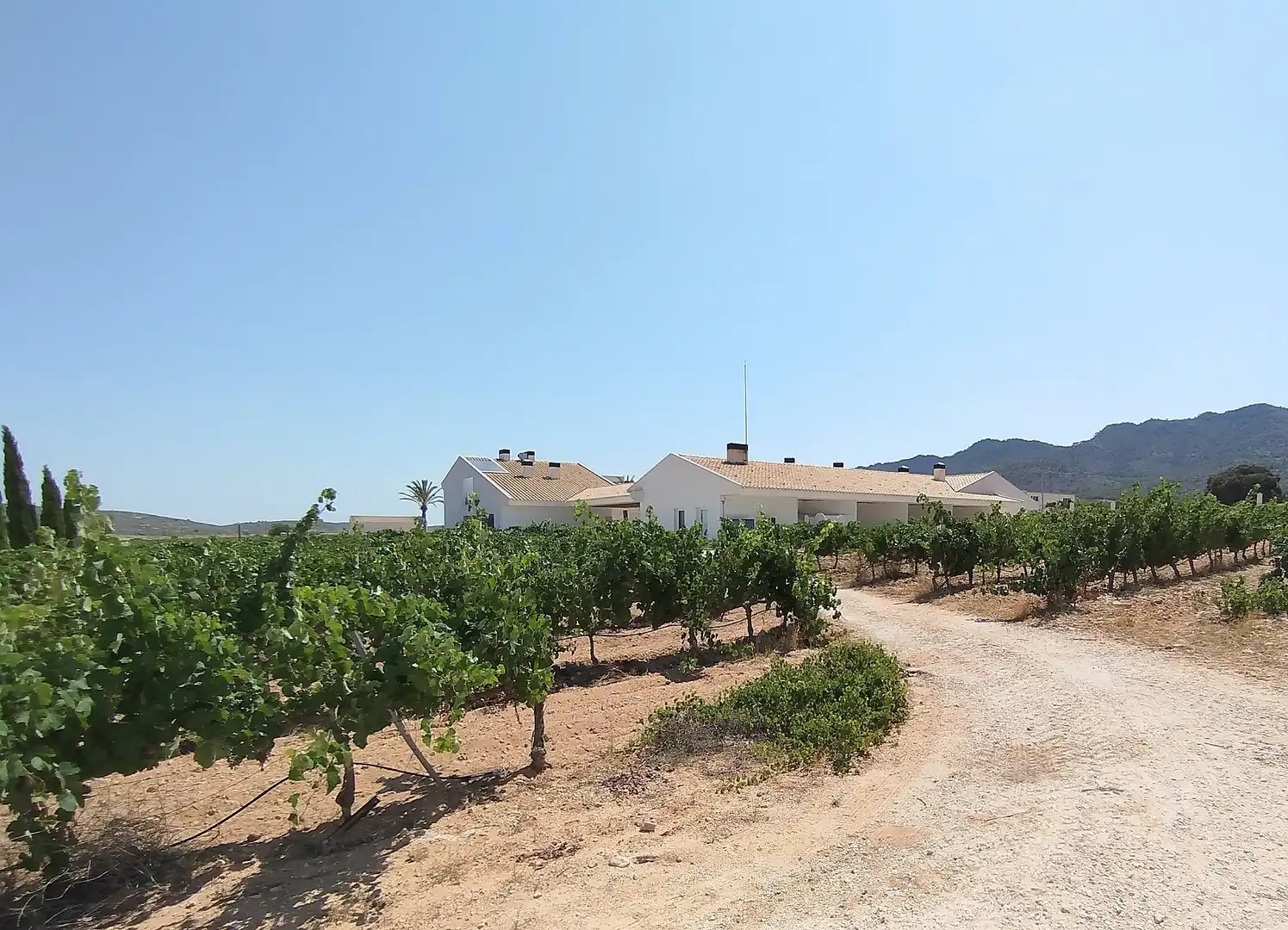 Finca rústica en venda en Yecla amb Aire condicionat i Terrassa