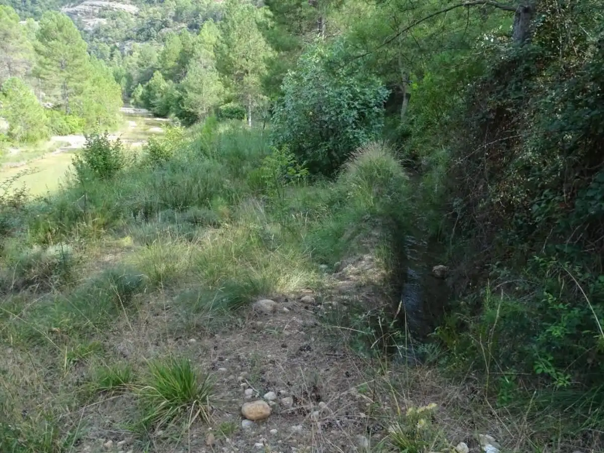 Finca rústica en venta en Beceite